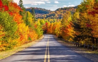 Highway in autumn