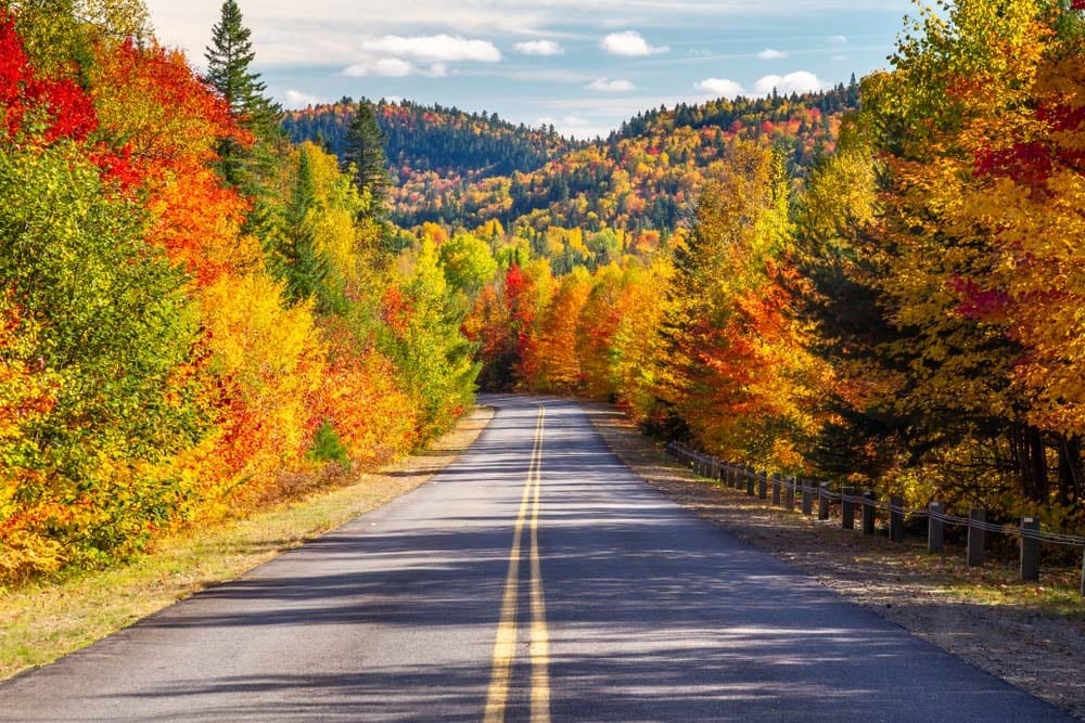 Take A Scenic Drive Through New Yorks Fall Foliage Emerson Resort And Spa