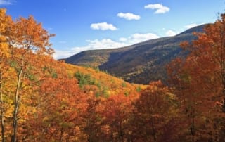 Catskills hills in autumn