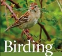 Small bird. Text: Birding