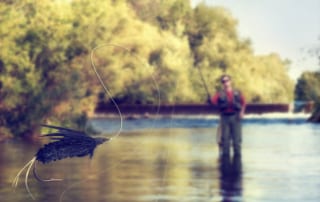 Picture of angler fly fishing in the Catskills.