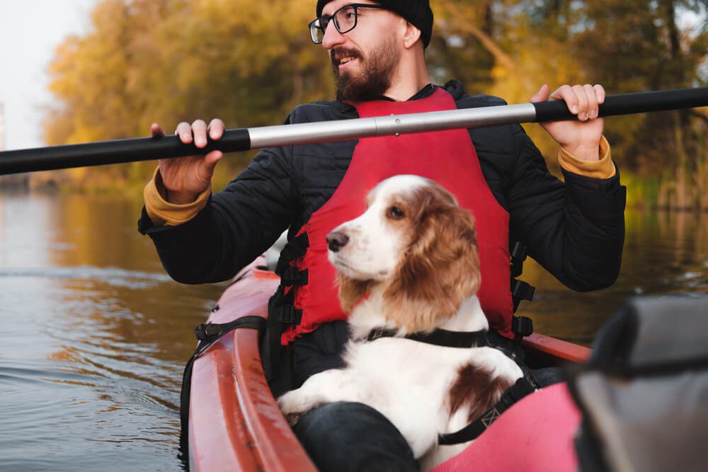Kayaking is one of the numerous dog-friendly activities available in Upstate New York.