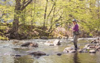 A woman fly fishing in upstate New York.